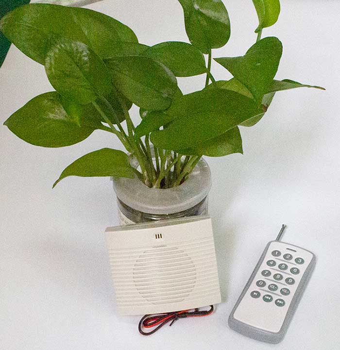 无线？？？？？丶苹